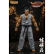 Virtua Fighter 5 Ultimate Showdown - Figurine 1/12 Akira Yuki 18 cm