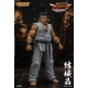 Virtua Fighter 5 Ultimate Showdown - Figurine 1/12 Akira Yuki 18 cm