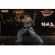 Virtua Fighter 5 Ultimate Showdown - Figurine 1/12 Akira Yuki 18 cm