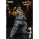 Virtua Fighter 5 Ultimate Showdown - Figurine 1/12 Akira Yuki 18 cm