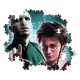 Harry Potter - Puzzle Lord Voldemort (500 pièces)
