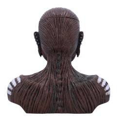 Iron Maiden - Boîte de rangement The Book of Souls (12 cm)