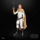 Star Wars : Princess Leia Black Series Archive - Figurine 2023 Princess Leia Organa 15 cm
