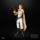 Star Wars : Princess Leia Black Series Archive - Figurine 2023 Princess Leia Organa 15 cm