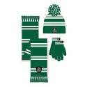 Harry Potter - Set bonnet & écharpe House Slytherin 165 cm