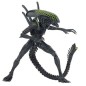 Alien vs. Predator - Pack 2 figurines Battle Damaged Celtic vs Battle Damaged Grid 20-23 cm Alien vs. Predator - Pack 2 figurines Battle Damaged Celtic vs Battle Damaged Grid 20-23 cm