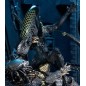 Alien vs. Predator - Pack 2 figurines Battle Damaged Celtic vs Battle Damaged Grid 20-23 cm Alien vs. Predator - Pack 2 figurines Battle Damaged Celtic vs Battle Damaged Grid 20-23 cm