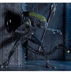 Alien vs. Predator - Pack 2 figurines Battle Damaged Celtic vs Battle Damaged Grid 20-23 cm