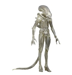 Alien 1979 - Figurine 1/4 Transculent Prototype Suit Concept 56 cm