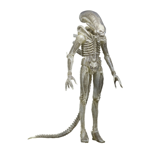 Alien 1979 - Figurine 1/4 Transculent Prototype Suit Concept 56 cm