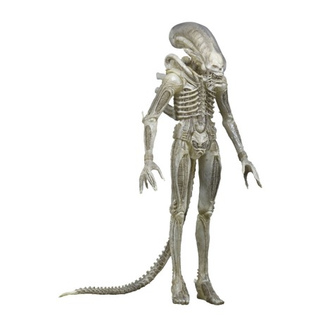 Alien - 1979 figurine 1/4 Transculent Prototype Suit Concept 56 cm