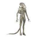 Alien 1979 - Figurine 1/4 Transculent Prototype Suit Concept 56 cm