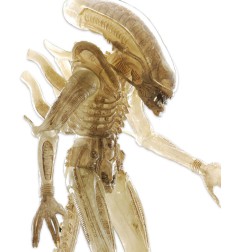 Alien 1979 - Figurine 1/4 Transculent Prototype Suit Concept 56 cm