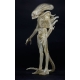 Alien 1979 - Figurine 1/4 Transculent Prototype Suit Concept 56 cm