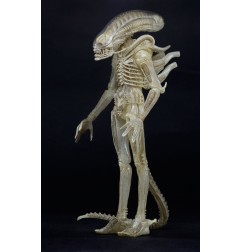 Alien - 1979 figurine 1/4 Transculent Prototype Suit Concept 56 cm