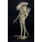 Alien 1979 - Figurine 1/4 Transculent Prototype Suit Concept 56 cm Alien 1979 - Figurine 1/4 Transculent Prototype Suit Concept 56 cm