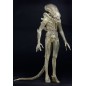 Alien - 1979 figurine 1/4 Transculent Prototype Suit Concept 56 cm Alien - 1979 figurine 1/4 Transculent Prototype Suit Concept 56 cm