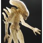Alien 1979 - Figurine 1/4 Transculent Prototype Suit Concept 56 cm Alien 1979 - Figurine 1/4 Transculent Prototype Suit Concept 56 cm