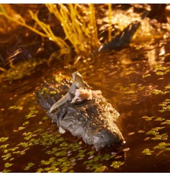 GI Joe - G.I. Joe Classified Series figurine 2022 Croc Master & Fiona 15 cm