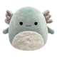 Squishmallows - Peluche Chasman l'axolotl 30 cm