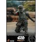 Star Wars The Mandalorian - Figurine 1/6 Transport Trooper 31 cm