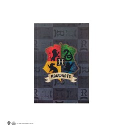 Harry Potter - Set papeterie 7 pièces Hogwarts Fantasy