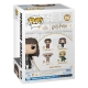 Harry Potter et la chambre des secrets - Figurine Anniversary POP! Hermione 9 cm