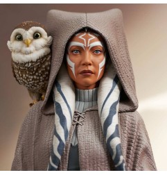 Star Wars - Rebels buste 1/6 Ahsoka Tano 15 cm