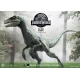 Jurassic World: Fallen Kingdom - Statuette Prime Collectibles 1/10 Blue (Open Mouth Version) 17 cm