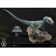 Jurassic World: Fallen Kingdom - Statuette Prime Collectibles 1/10 Blue (Open Mouth Version) 17 cm