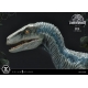 Jurassic World: Fallen Kingdom - Statuette Prime Collectibles 1/10 Blue (Open Mouth Version) 17 cm
