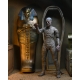 Universal Monsters - Accessoires pour figurines The Mummy Accessory Pack