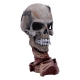 Metallica - Statuette Sad But True Skull 24 cm