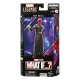 What If...? Marvel Legends - Figurine Khonshu BAF : Red Skull 15 cm