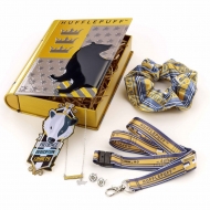 Harry Potter - Boîte bijoux & accessoires Hufflepuff House