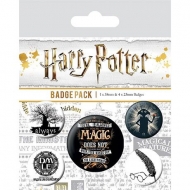 Harry Potter - Pack 5 badges Symboles