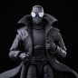 Marvel - Spider-Man: New Generation  Legends pack 2 figurines 2022 Spider-Man Noir & Spider-Ham 15 cm