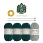 Harry Potter - Kit spécial Bérets Serpentard