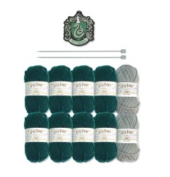 Harry Potter - Kit spécial écharpe Serpentard