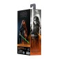 Star Wars : The Mandalorian Black Series - Figurine Luke Skywalker (Imperial Light Cruiser) 15 cm