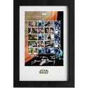 Star Wars - Timbres encadrés Collector 43 x 29 cm