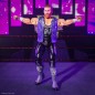 WWE - Major Wrestling Podcast Wave 2 figurine Ultimates Brian Myers (Most Professional Wrestler) 18 cm