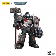 Warhammer 40k - Figurine 1/18 Grey Knights Terminator Caddon Vibova 13 cm
