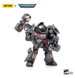 Warhammer 40k - Figurine 1/18 Grey Knights Terminator Caddon Vibova 13 cm