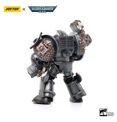 Warhammer - 40k figurine 1/18 Grey Knights Terminator Caddon Vibova 13 cm