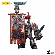Warhammer 40k - Figurine 1/18 Grey Knights Terminator Retius Akantar 13 cm