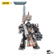 Warhammer 40k - Figurine 1/18 Grey Knights Terminator Jaric Thule 13 cm