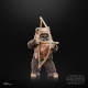 Star Wars Episode VI 40th Anniversary Black Series - Figurine Wicket 15 cm
