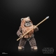 Star Wars Episode VI 40th Anniversary Black Series - Figurine Wicket 15 cm