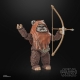 Star Wars Episode VI 40th Anniversary Black Series - Figurine Wicket 15 cm